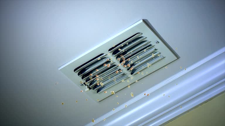 Best HVAC System Cleaning  in La Mesa, CA