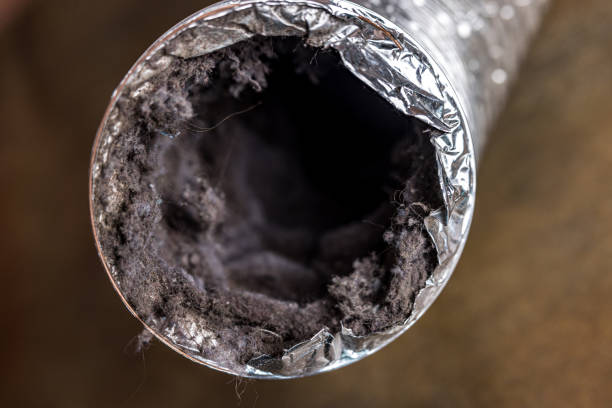 Best Duct Cleaning Specialists  in La Mesa, CA